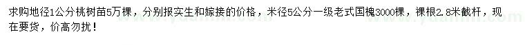 求購(gòu)地徑1公分桃樹(shù)苗、米徑5公分國(guó)槐