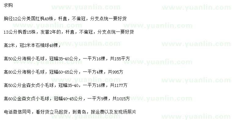 求購(gòu)美國(guó)紅楓、楓香、本石楠等