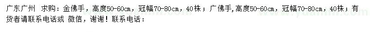 求購高度50-60公分金佛手、廣佛手