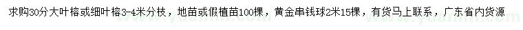 求購大葉榕、細葉榕、黃金串錢球