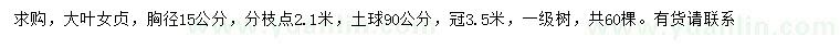 求購(gòu)胸徑15公分大葉女貞