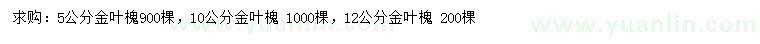 求購5、10、12公分金葉槐
