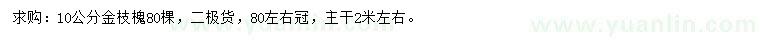 求購10公分金枝槐
