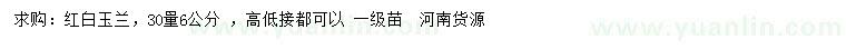 求購30量6公分紅、白玉蘭