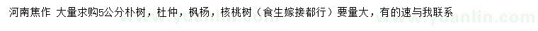 求購樸樹、杜仲、楓楊等