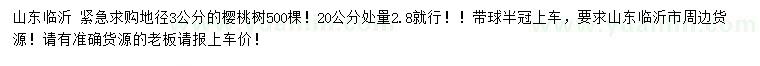 求購20公分處量地徑3公分櫻桃樹