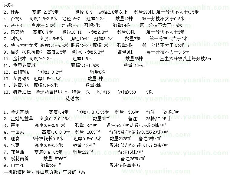 求購杜梨、杏樹、雜交楊等