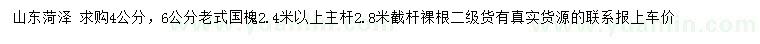 求購4、6公分老式國槐
