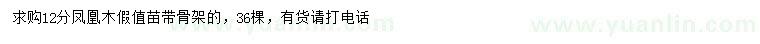 求購12公分鳳凰木假值苗