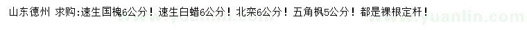 求購(gòu)速生國(guó)槐、速生白蠟、北欒等