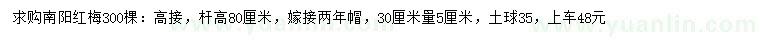 求購(gòu)30量5公分高接南陽紅梅