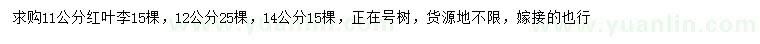 求購11、12、14公分紅葉李