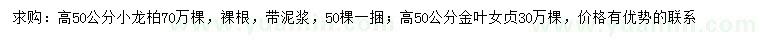 求購高50公分小龍柏、金葉女貞