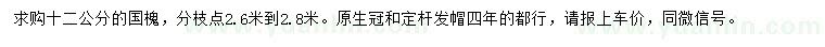 求購12公分國槐