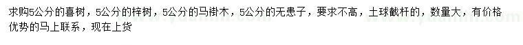 求購(gòu)喜樹(shù)、梓樹(shù)、馬褂木等