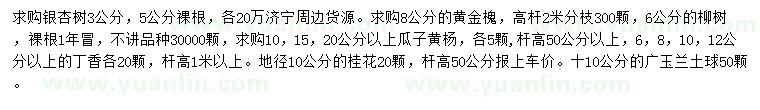 求購銀杏樹、黃金槐、柳樹等