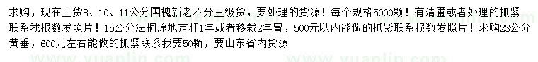 求購國槐、法桐、黃垂