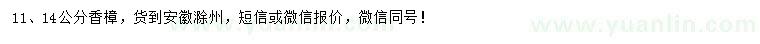 求購11、14公分香樟
