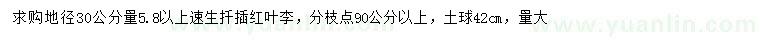 求購(gòu)地徑30公分量5.8公分以上速生扦插紅葉李
