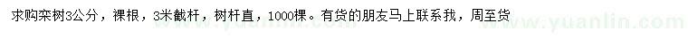 求購3公分欒樹
