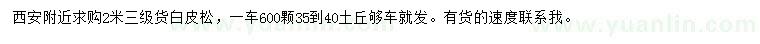求購2米白皮松