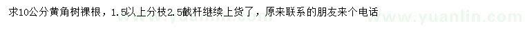 求購10公分黃角樹