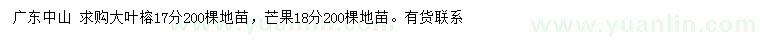 求購(gòu)17分分大葉榕、18公分芒果