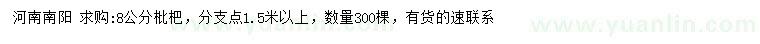 求購(gòu)8公分枇杷