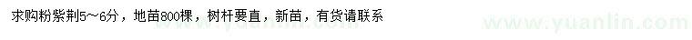 求購5-6公分粉紫荊