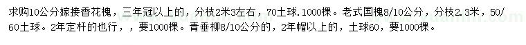 求購(gòu)嫁接香花槐、老式國(guó)槐、青垂柳