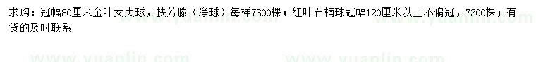 求購(gòu)金葉女貞球、扶芳滕、紅葉石楠球