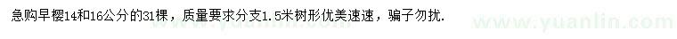 求購14、16公分日本早櫻