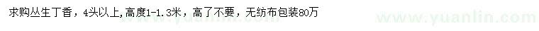 求購高度1-1.3米叢生丁香