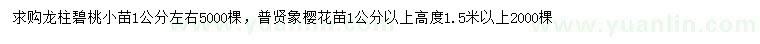 求購1公分左右龍柱碧桃苗、普賢象櫻花苗