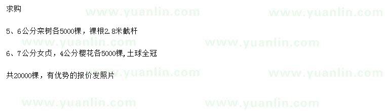 求購(gòu)欒樹(shù)、女貞、櫻花