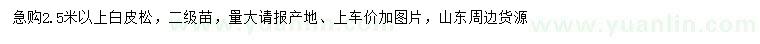 求購2.5米以上白皮松