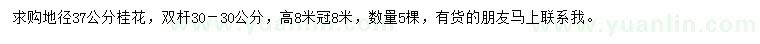 求購(gòu)地徑37公分桂花