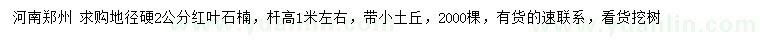 求購地徑硬2公分紅葉石楠