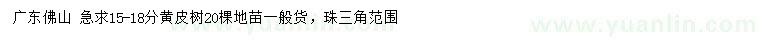 求購15-18公分黃皮樹