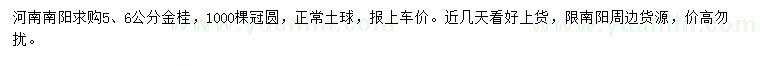 求購5、6公分金桂