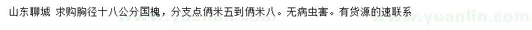求購胸徑18公分國槐