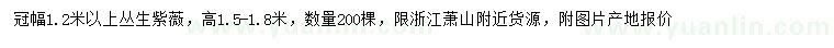 求購(gòu)冠幅1.2米以上叢生紫薇
