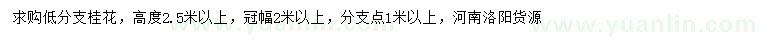 求購(gòu)高2.5米以上低分支桂花