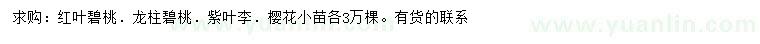 求購紅葉碧桃、龍柱碧桃、紫葉李等