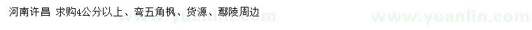 求購4公分以上彎五角楓