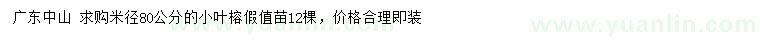 求購米徑80公分小葉榕
