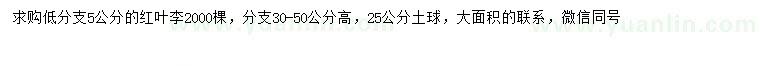 求購5公分低分支紅葉李