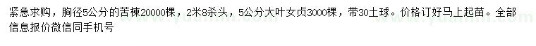 求購胸徑5公分苦楝
