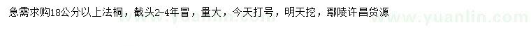 求購18公分以上法桐