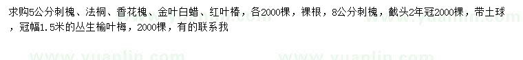 求購(gòu)刺槐、法桐、香花槐等
